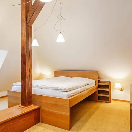 U Cerneho Medveda- At The Black Bear Apartment Prague